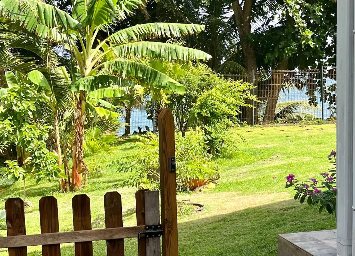 Ti Bwa Lodge كابستر-بيل-أو