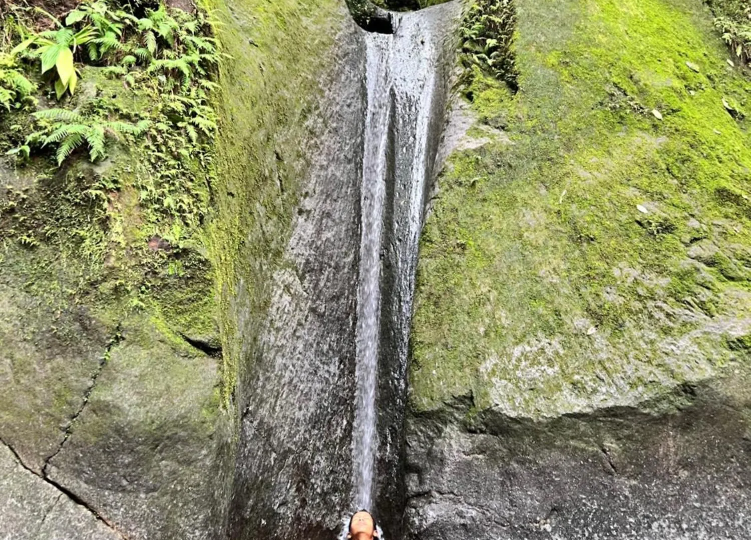 Ti Bwa Lodge كابستر-بيل-أو 0*,  غوادلوب